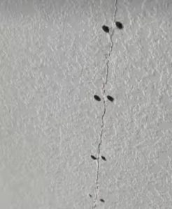 using screw to fix wall